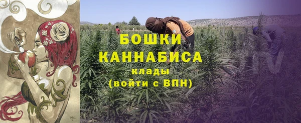 дживик Козельск