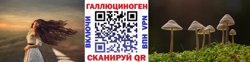 Купить закладки  Беслан  Галлюциногенные грибы Cubensis 